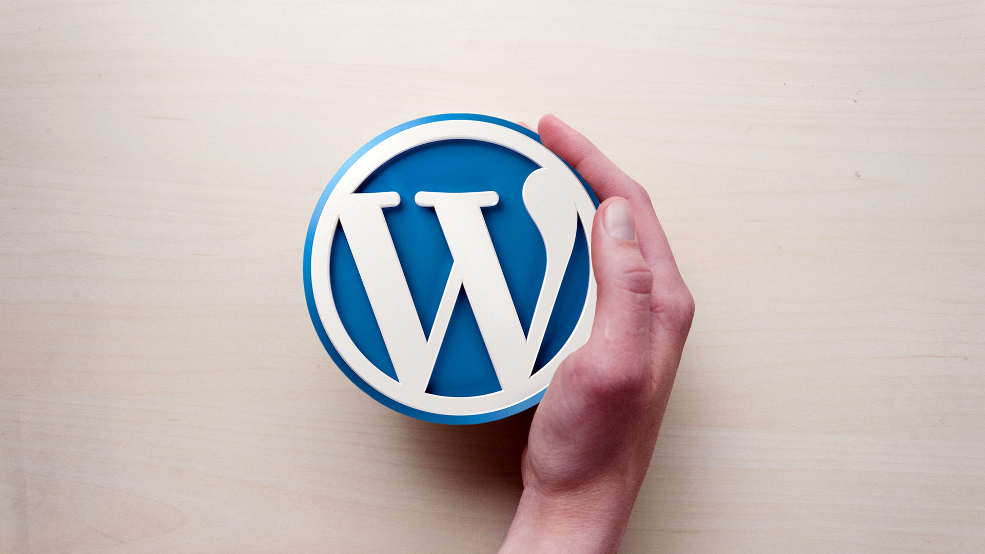  wordpress design and development