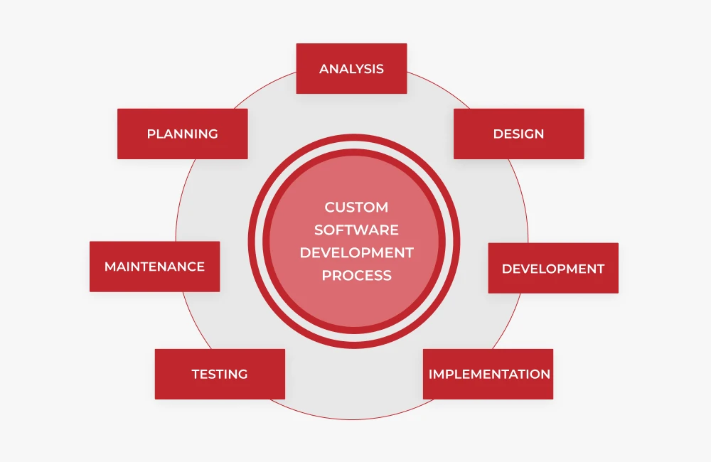 custom software development process