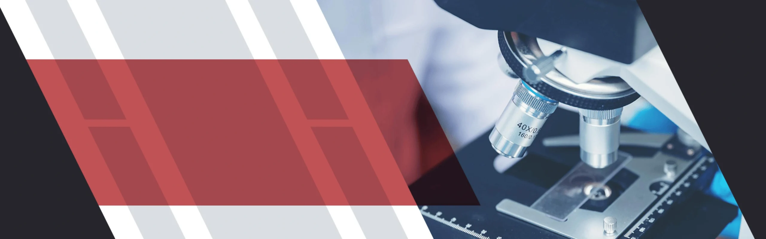 Importance of Laboratory Information Management Systems